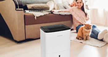 Dehumidifier Buyers Guide