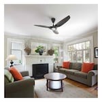 BIG ASS FANS FR112C-U1H00-3L00-09259-259P610