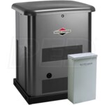 Briggs & Stratton 40481