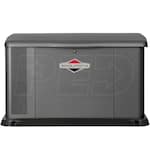 Briggs & Stratton 40585