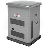 Briggs & Stratton 40628