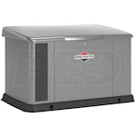 Briggs & Stratton 40636