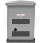 Briggs & Stratton 40646