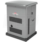 Briggs & Stratton 40646