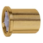 Caleffi Tail Piece with High Temperature Check Valve, 3/4