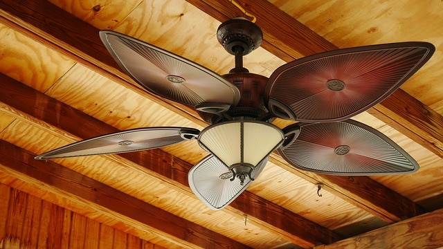 ceiling fan