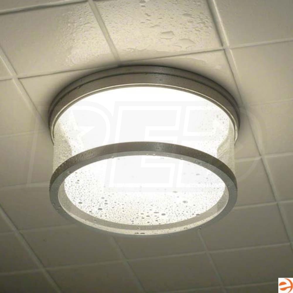 Mr. Steam MS LIGHT ORB