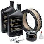 Briggs & Stratton 10 kW & 12 kW Standby Generator Maintenance Kit (Vanguard Engine)