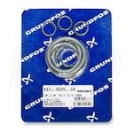 Grundfos 102mm x 4mm - O-Ring and Gasket Kit
