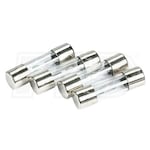 Fieldpiece Replacement Fuse for SC6X-76 HS35-36 LT17A LT16A