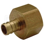 Zurn - XL Brass Female (Non Swivel) Pipe Thread Adapter - 1-1/2