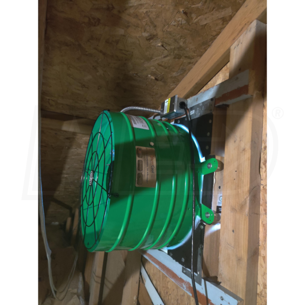 review image 6
